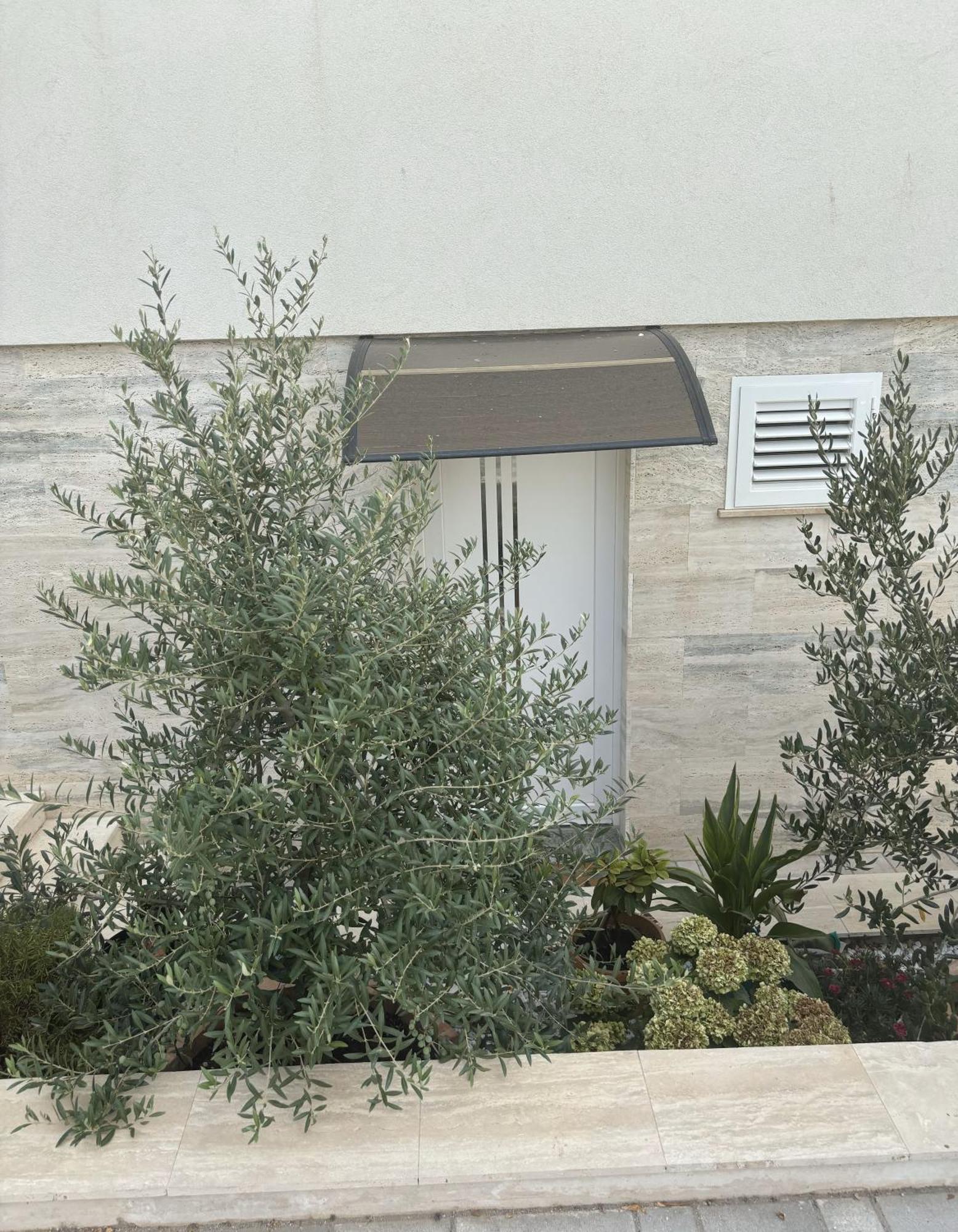 יזרה Vila Regina Apartment Rex With Swimming Pool מראה חיצוני תמונה