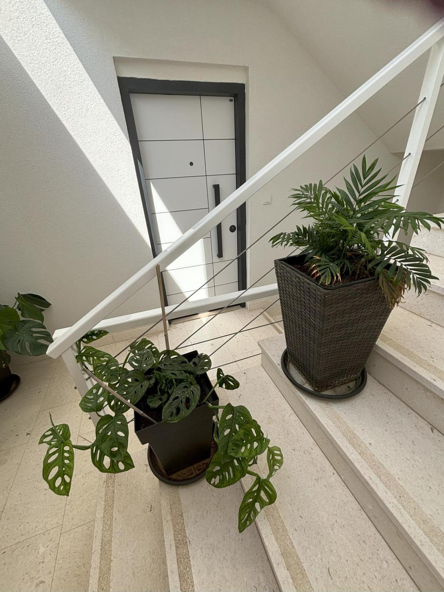 יזרה Vila Regina Apartment Rex With Swimming Pool מראה חיצוני תמונה